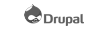 Drupal Logo